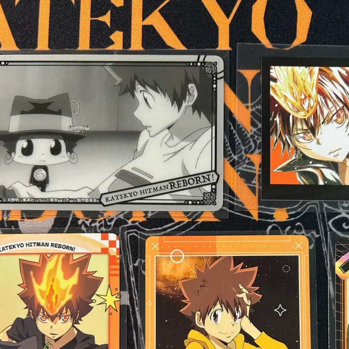[BUNJANG] Katekyo Hitman Reborn! Tsuna Paper Merchandise Bundle Set / 가히리 츠나 파샤 스냅마이드 클리어 메탈 바이스 일괄