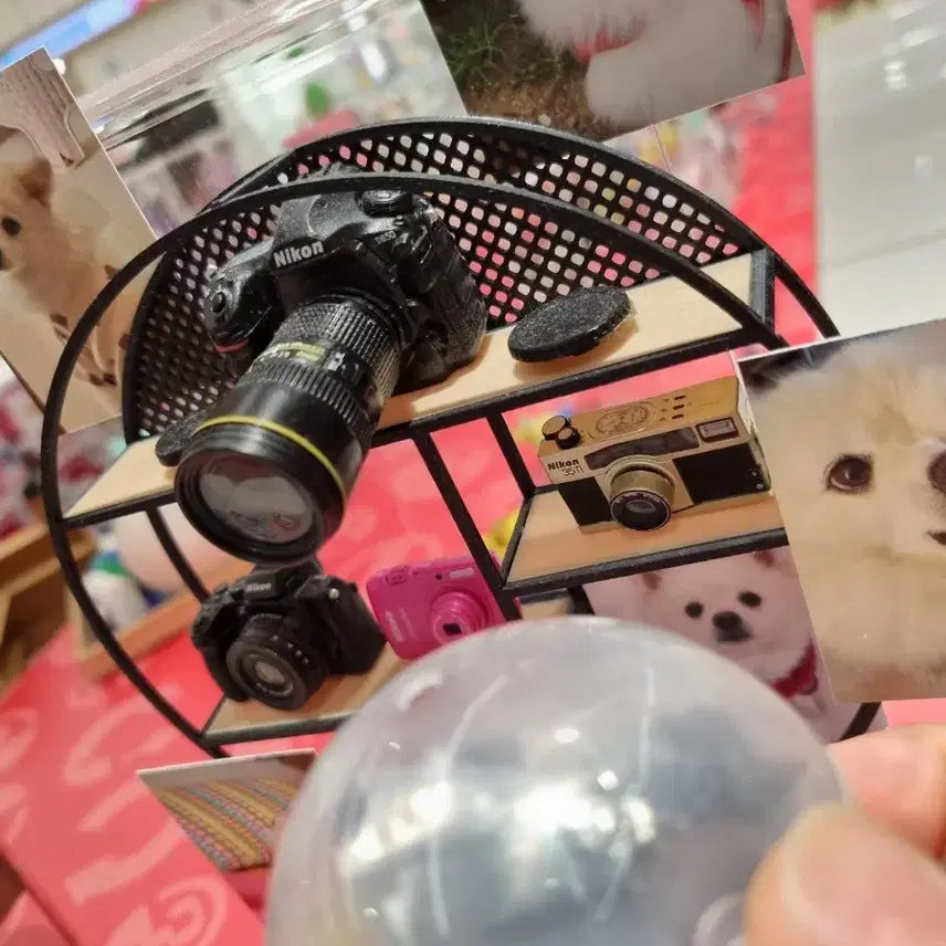 [BUNJANG] Nikon Miniature Camera Collection 2 Gacha Set / 카메라 가챠 (구치파치 짱구 산리오 키티 마치보케)