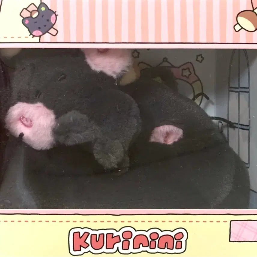 [BUNJANG] Wish Ninini Bubble Nyan Ninini Room Plush / 현물|분철)위시니니 버블냥니 쿠리니니 룸플러시