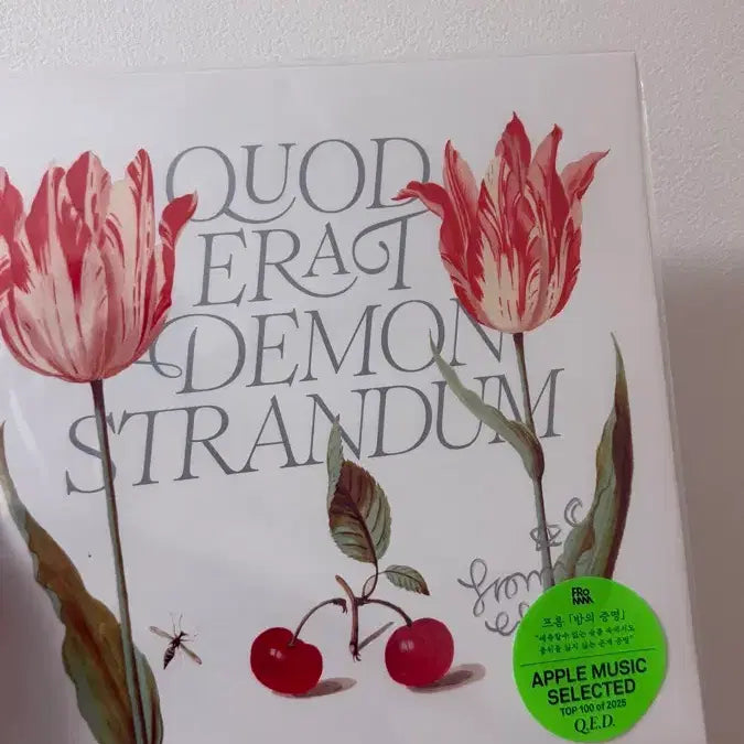 [BUNJANG] Q.E.D. LP Signed Edition / 프롬 Q.E.D LP 사인반