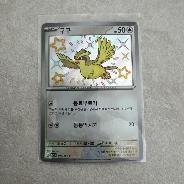 [BUNJANG] Pidgey Error Card - Holo / 포캣몬카드 구구 에러카드s급 싸게판매