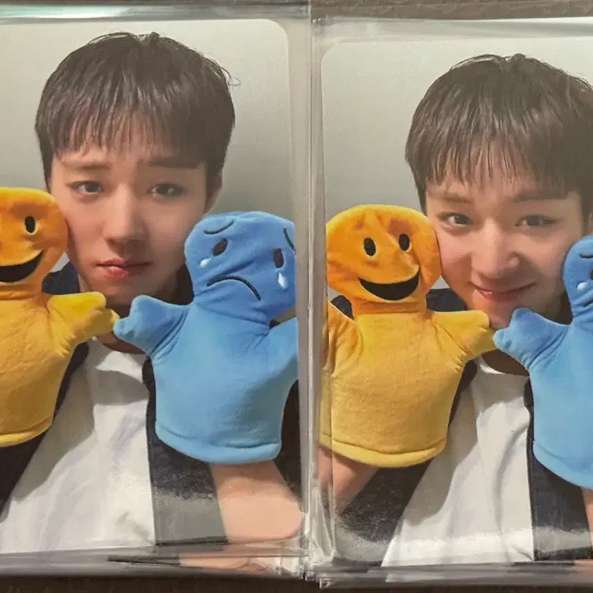 [BUNJANG] Park Ji Hoon Withmuu Lucky Draw Photocard Bundle Set / 박지훈 포카 감정인형 위드뮤 미공포 팬싸 일괄 세트 판매