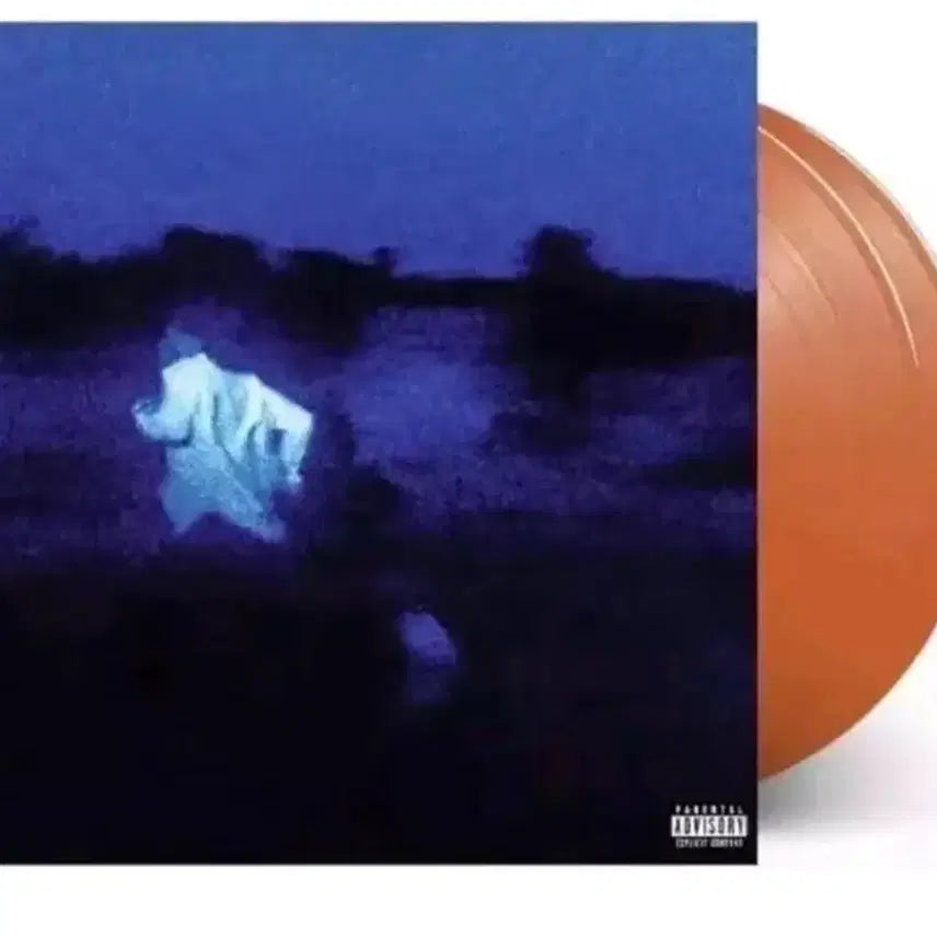 [BUNJANG] Daniel Caesar Never Enough LP (Sealed) / 다니엘 시저 네버 이너프 NEVER ENOUGH lp 미개봉