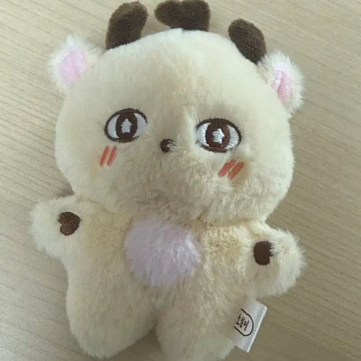 [BUNJANG] Park Jihoon Sosimi Doll Photocard Set / 박지훈 인형 소심이 판매 포카 포함 박지훈 탈덕 처분 박지훈포카