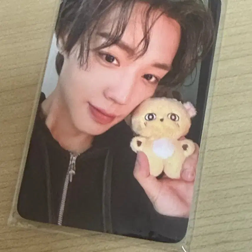 [BUNJANG] Park Jihoon Sosimi Doll Photocard Set / 박지훈 인형 소심이 판매 포카 포함 박지훈 탈덕 처분 박지훈포카
