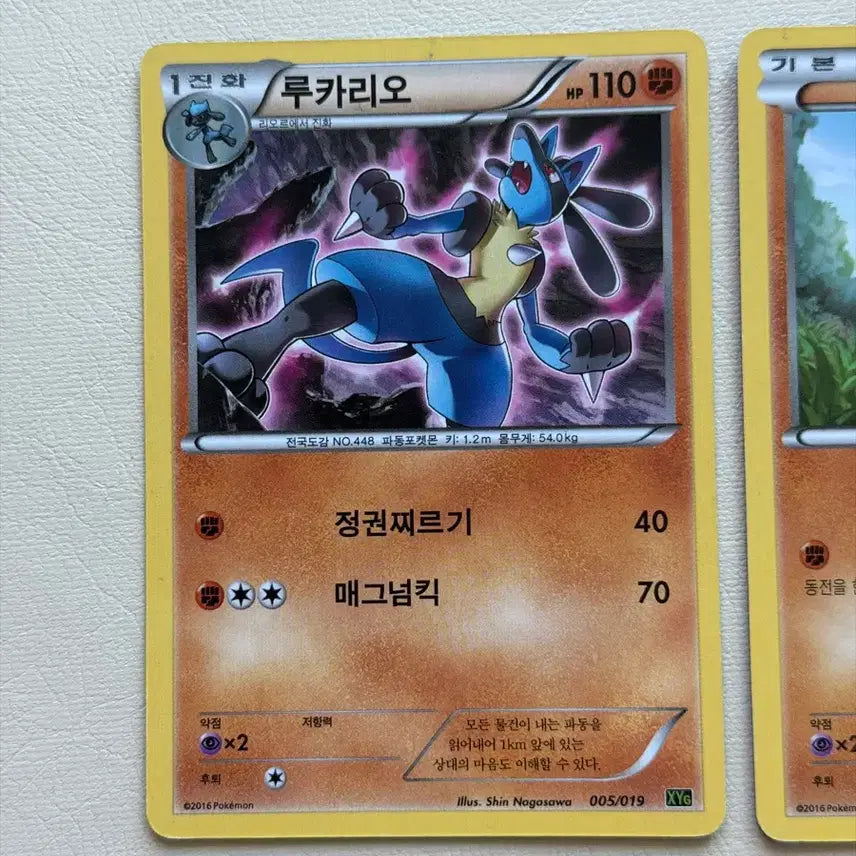 [BUNJANG] Pokemon Ancient Pack Riolu Lucario 2-Card Set / 귀여운 포켓몬 고대팩 카드 리오르 루카리오 2장 세트