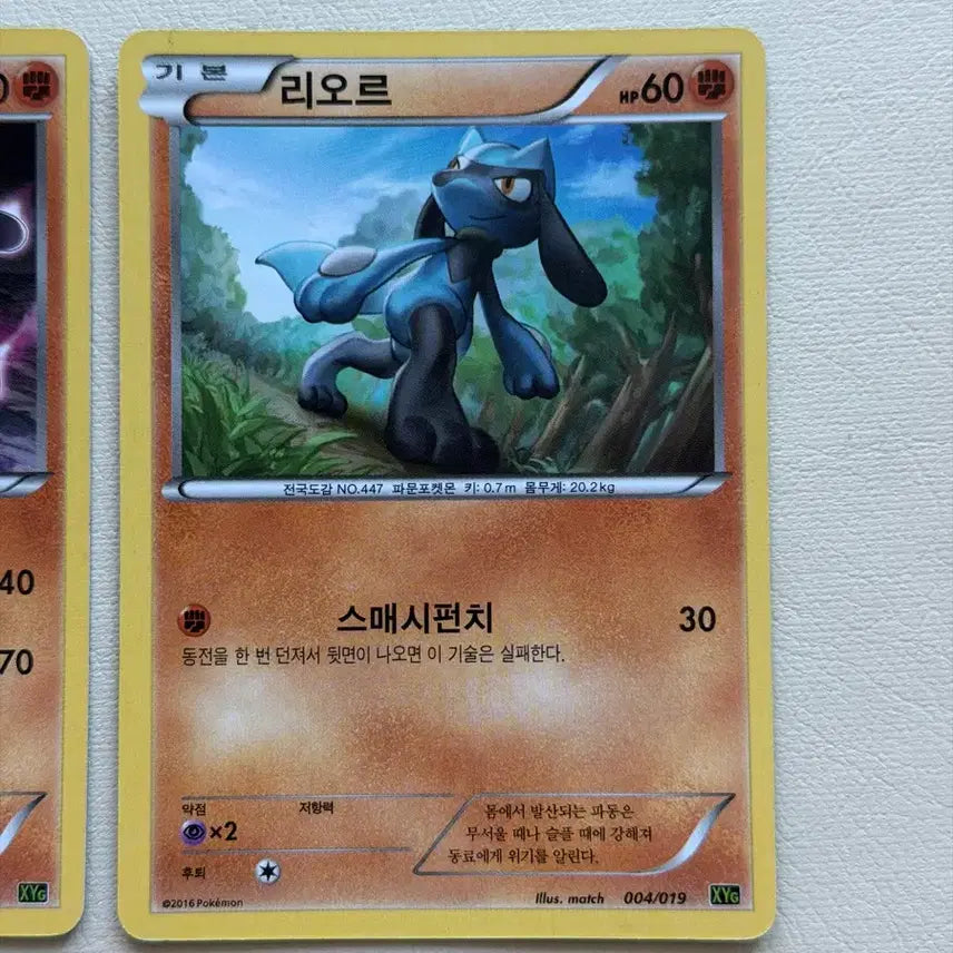 [BUNJANG] Pokemon Ancient Pack Riolu Lucario 2-Card Set / 귀여운 포켓몬 고대팩 카드 리오르 루카리오 2장 세트