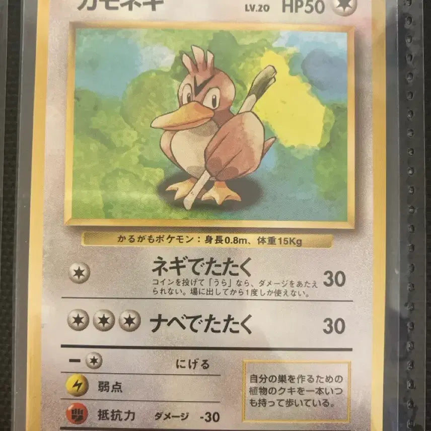 [BUNJANG] Pokemon Card Japanese First Edition Fossil Ducklett / 포켓몬카드 일판 초판 올드백 파오리