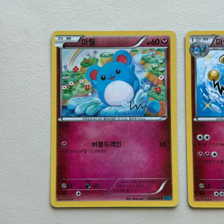 [BUNJANG] Pokemon Ancient Pack Shiny Marill / Azumarill 2 Cards / 귀여운 포켓몬 고대팩 카드 마릴/마릴리 이로치 2장