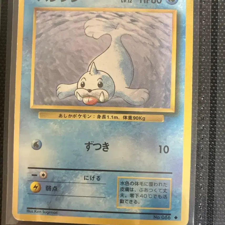 [BUNJANG] Pokemon Card Japanese First Edition Jorgen / 포켓몬카드 일판 초판 쥬레곤