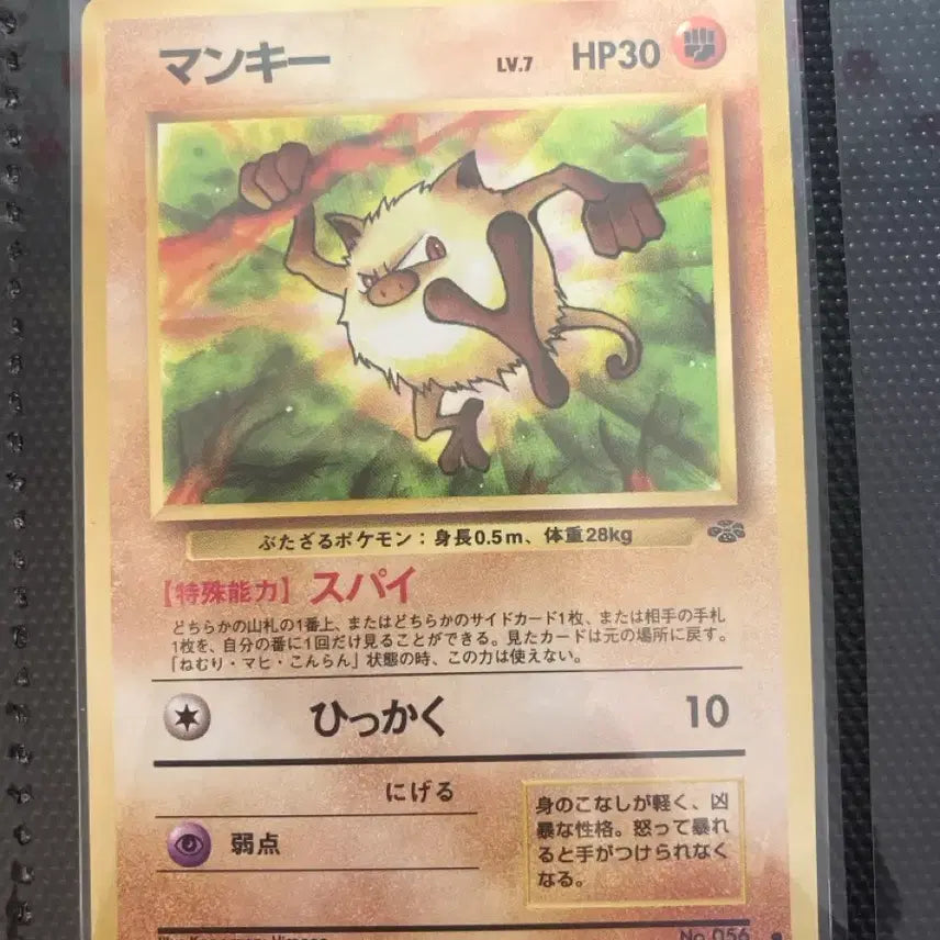 [BUNJANG] Pokemon Card Japanese 1st Edition Old Back Simisear / 포켓몬카드 일판 초판 올드백 성원숭