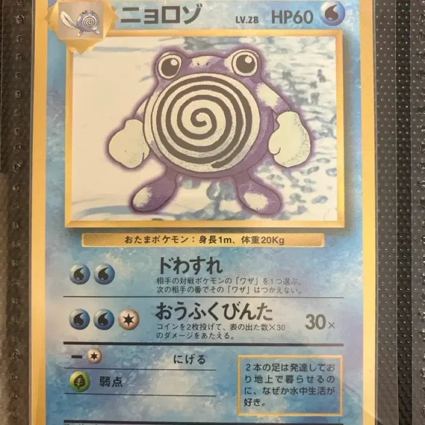 [BUNJANG] Pokemon Card Japanese First Edition Old Back Seadra / 포켓몬카드 일판 초판 올드백 수륙챙이