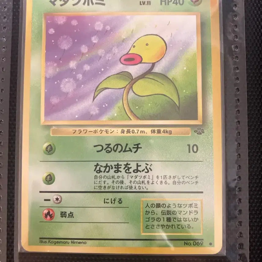 [BUNJANG] Pokemon Card - Old Back Series Squirtle - 1st Edition / 포켓몬카드 일판 초판 올드백 모다피