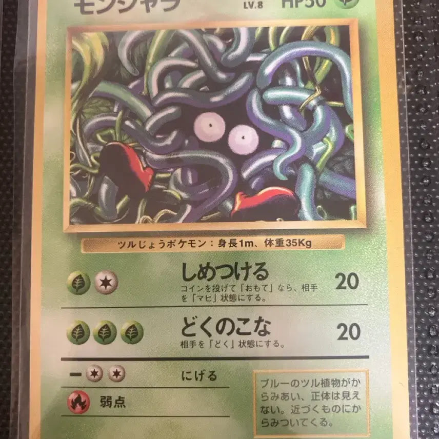 [BUNJANG] Pokemon Card Jungle 1st Edition 1999 Pinsir / 포켓몬카드 일판 초판 올드백 덩쿠리