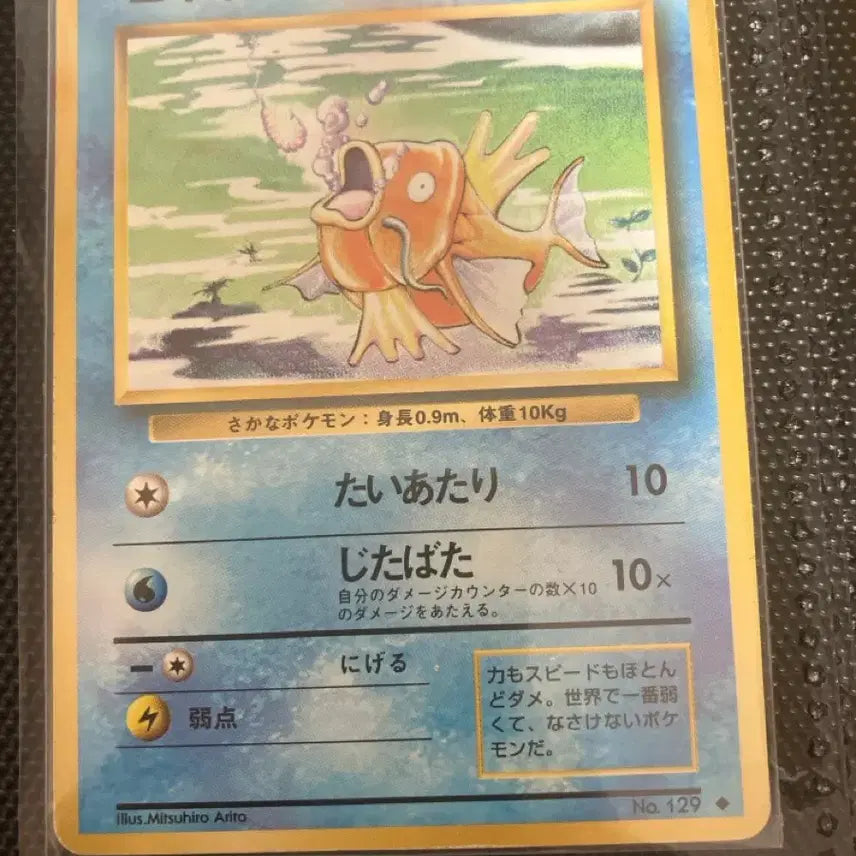 [BUNJANG] Pokemon Card Japanese 1st Edition Old Back Magikarp / 포켓몬카드 일판 초판 올드백 잉어킹