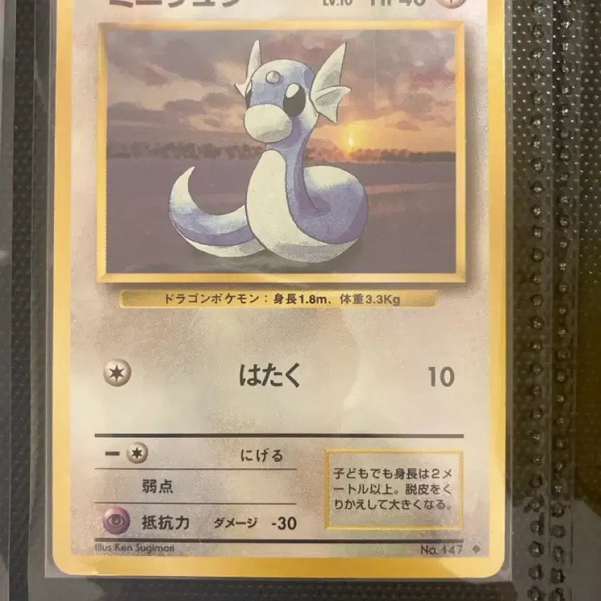 [BUNJANG] Pokemon Card (Japanese First Edition) Old Back Mignon / 포켓몬카드 일판 초판 올드백 미뇽