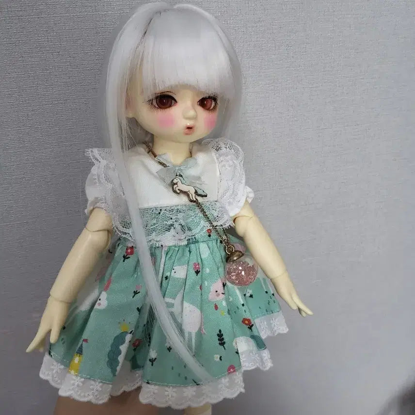 [BUNJANG] Chica-bi Dorothy Ball-Jointed Doll (Normal Color) with Outfit and Accessories / 치카비 도로시 물품 포함 판매 구체관절인형 구관인형