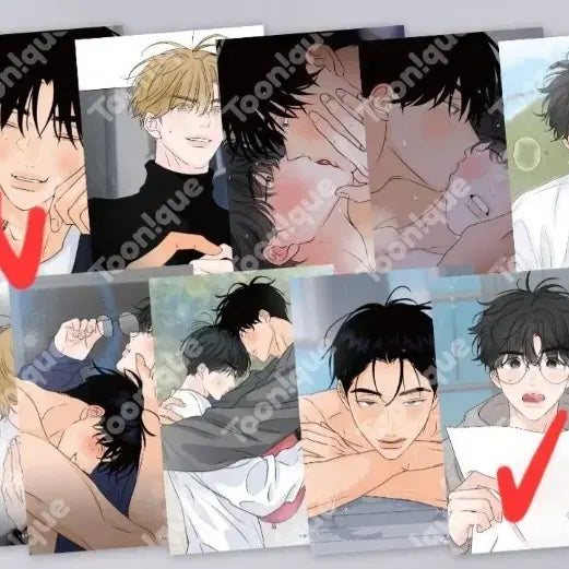 [BUNJANG] Toonique Scent Boundary Postcard Bundle Set / 투니크 향의경계 향경 1만원 특전 일괄 판매