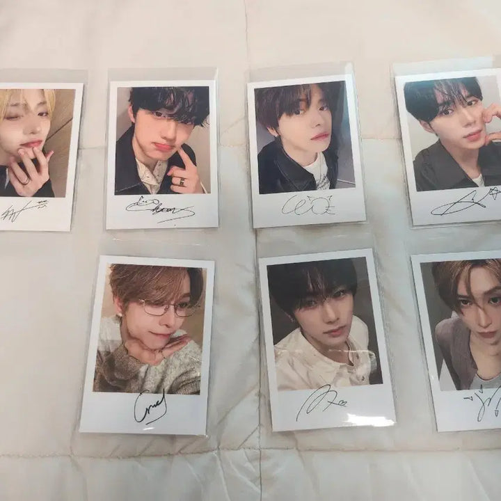 [BUNJANG] Bring Green Serum Photocard / 알파드라이브원 알디원 준서 리오 씬롱 상현 브링그린 포카