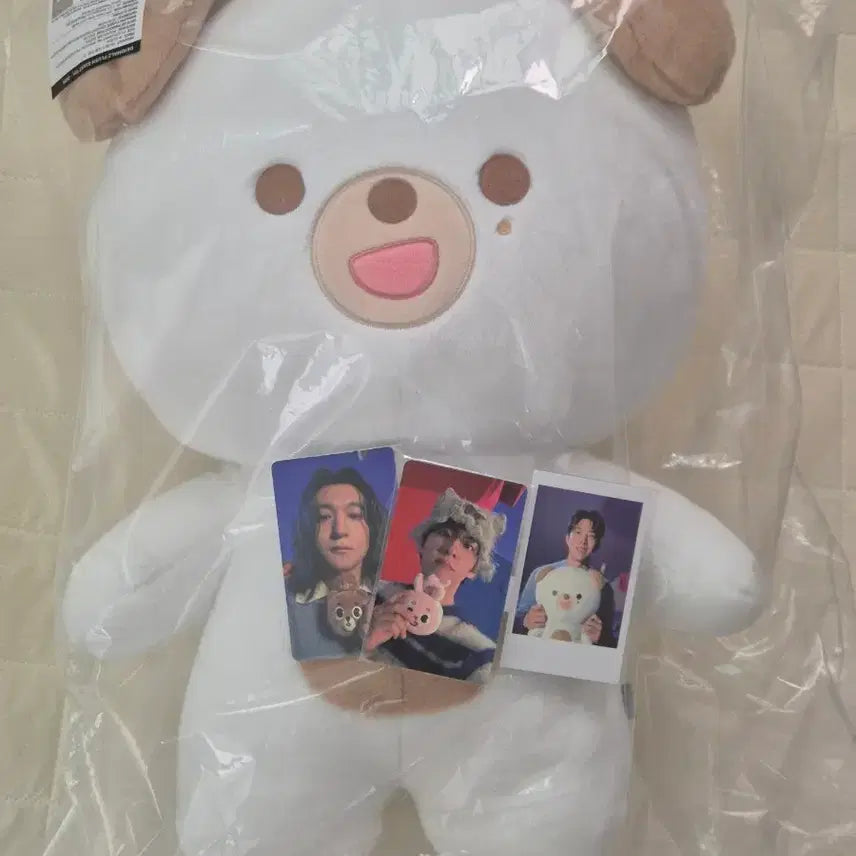 [BUNJANG] DAY6 Young K Petit Merz Bundle Set / 데이식스 자이언트 쁘띠멀즈 자쁘멀 돈 원가이하 양도