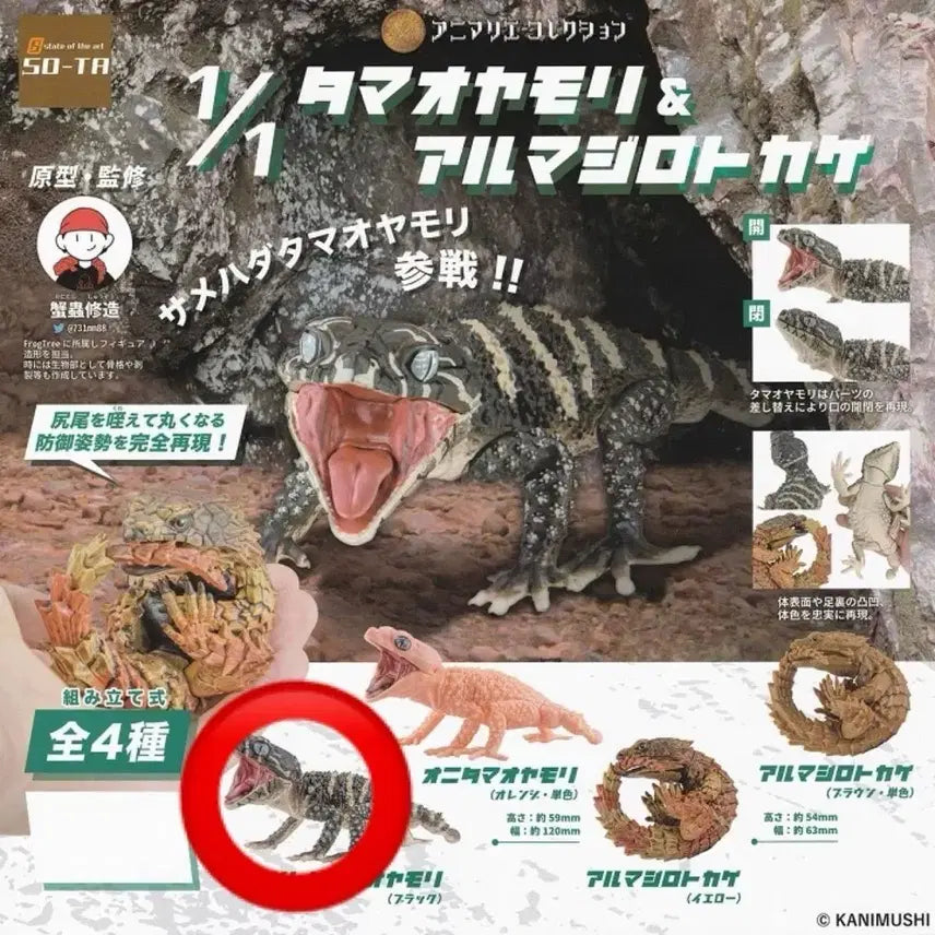 [BUNJANG] SO-TA Rough-snouted Lizard &amp; Armadillo Lizard Vol. 2 Gacha Figure - Black Rough-snouted Lizard / SO-TA 러프납테일&amp;아르마딜로 도마뱀2탄 가챠  블랙러프납테일