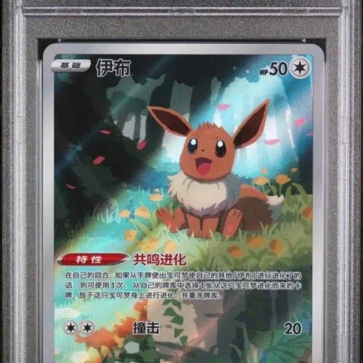 [BUNJANG] Eevee Full Art Limited Edition PSA 10 Graded Trading Card / 할인(psa 10) 중판 한정일러 cbb2 cs 15 이브이 풀일러 최고등급