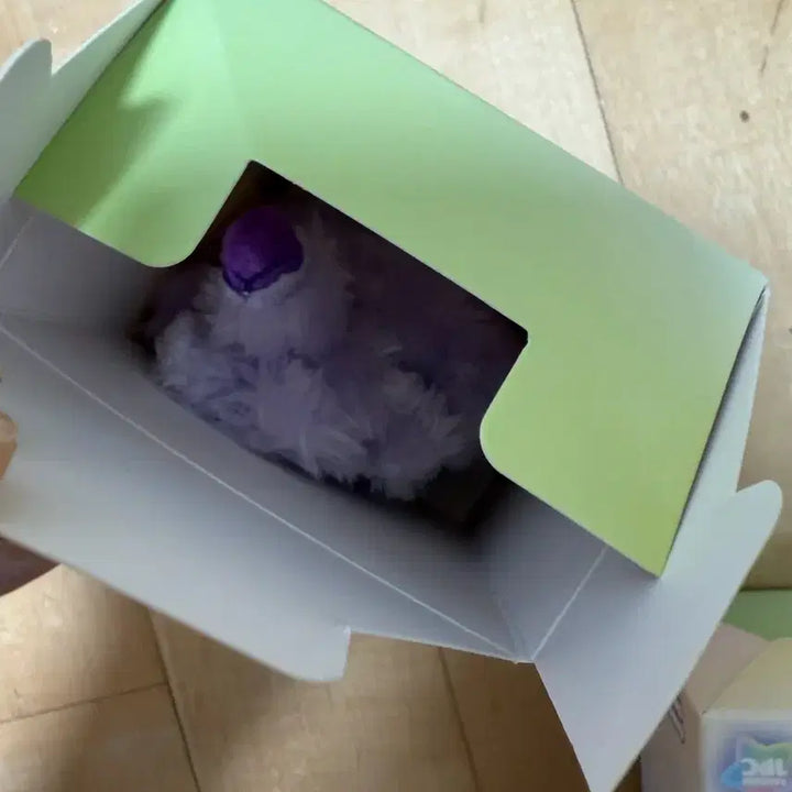 [BUNJANG] NCT WISH Color Wish Doll Sion Purple / 엔시티위시 컬러위시돌 시오닝 보라색 양도합니다