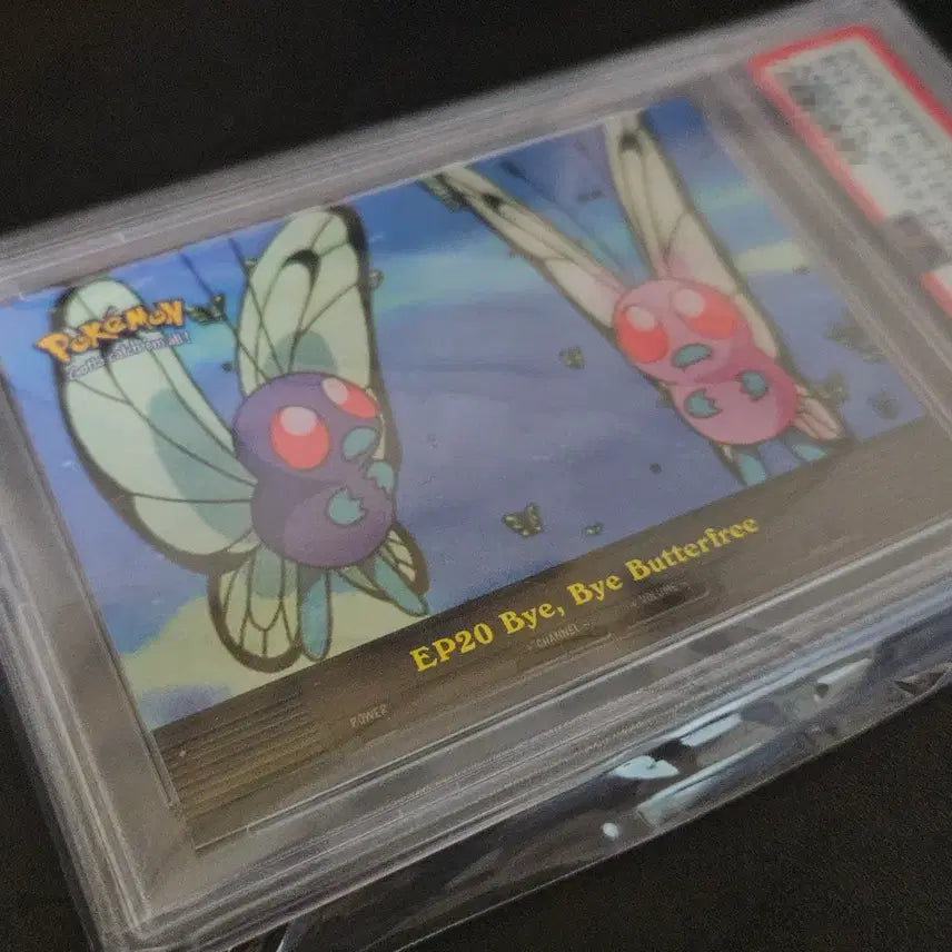 [BUNJANG] Pokemon Card Bye Bye Butterfree 2000 PSA 10 / 포켓몬카드 버터플 BYE BYE BUTTERFREE 2000 PSA 10