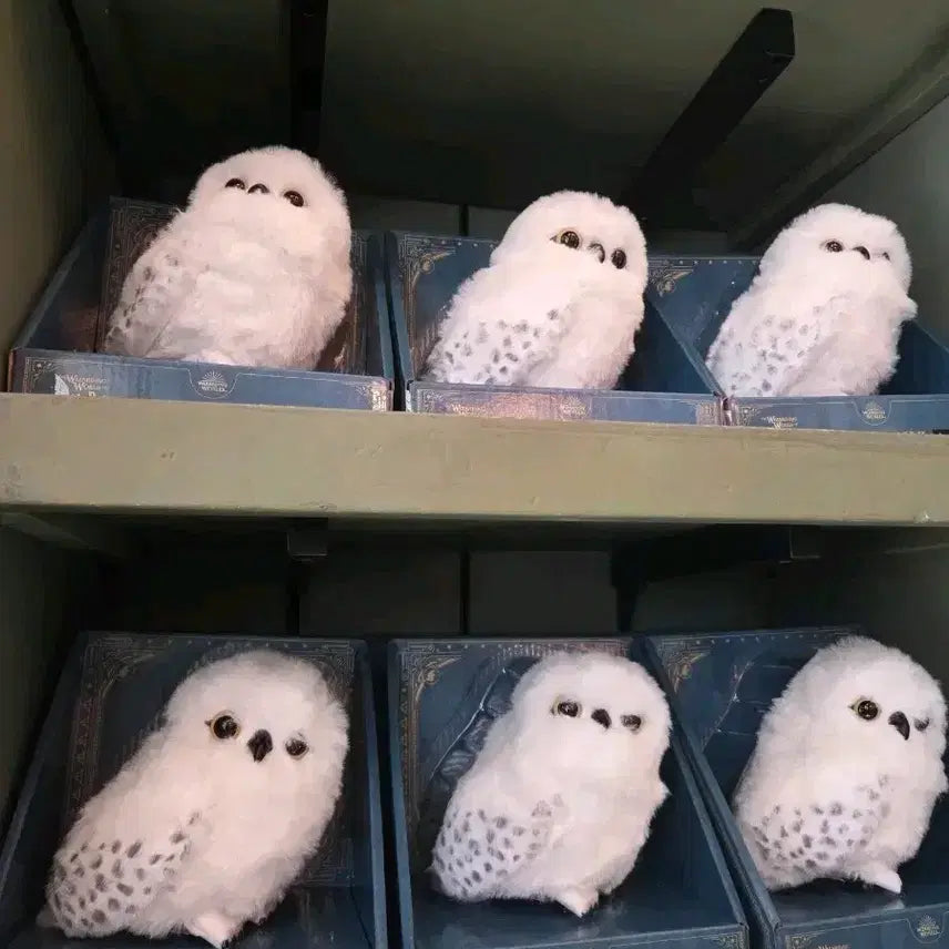 [BUNJANG] Harry Potter Snowy Owl Plush Toy (Universal Studios Japan Authentic) / 해리포터 눈 부엉이 인형 유니버셜재팬 새제품 정품