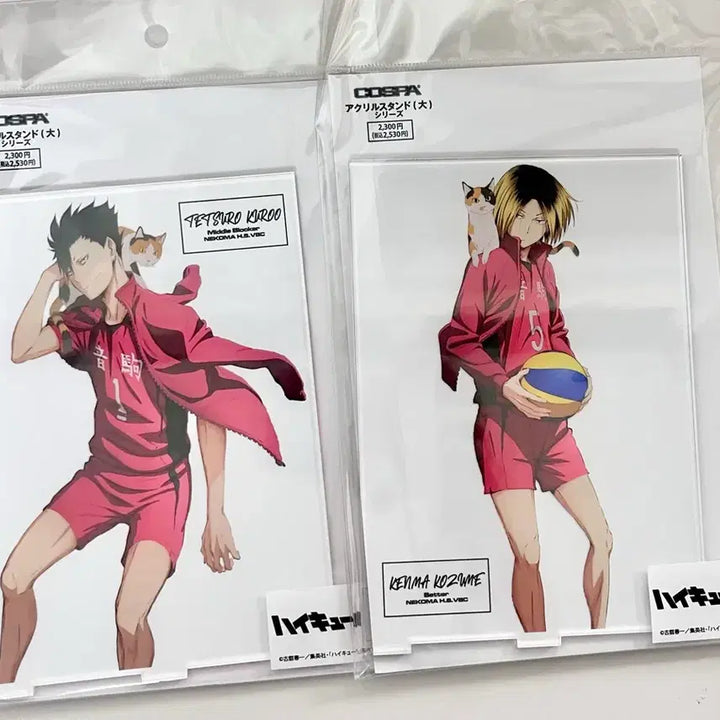 [BUNJANG] Haikyuu!! Big Acrylic Stand Kuroo Kenma Bundle Set / 하이큐 빅 아크릴 스탠드 쿠로오 켄마 일괄