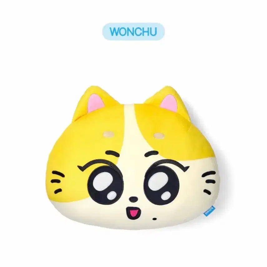 [BUNJANG] Enhypen Jungwon Wonchu Face Cushion / 엔하이픈 엔친 정원 원츄 페이스쿠션enhypen enchin wonchu
