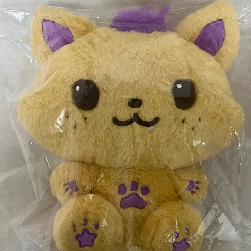[BUNJANG] NCT WISH Sicheng 30cm Doll / 엔시티위시 시오닝 30cm 양도 미개봉