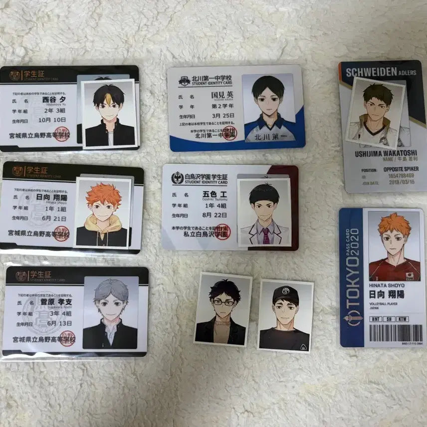 [BUNJANG] Haikyuu!! Character Student ID Proof Photos Bundle / 하이큐 증명사진 학생증 일괄 양도
