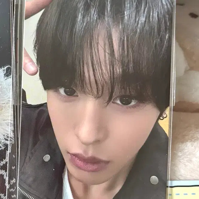 [BUNJANG] Wishnini Kkurini Room Plush Set Photocard Riku / 위시니니 쿠리니니 룸 플러시 세트 포카 리쿠 양도 현물 분철