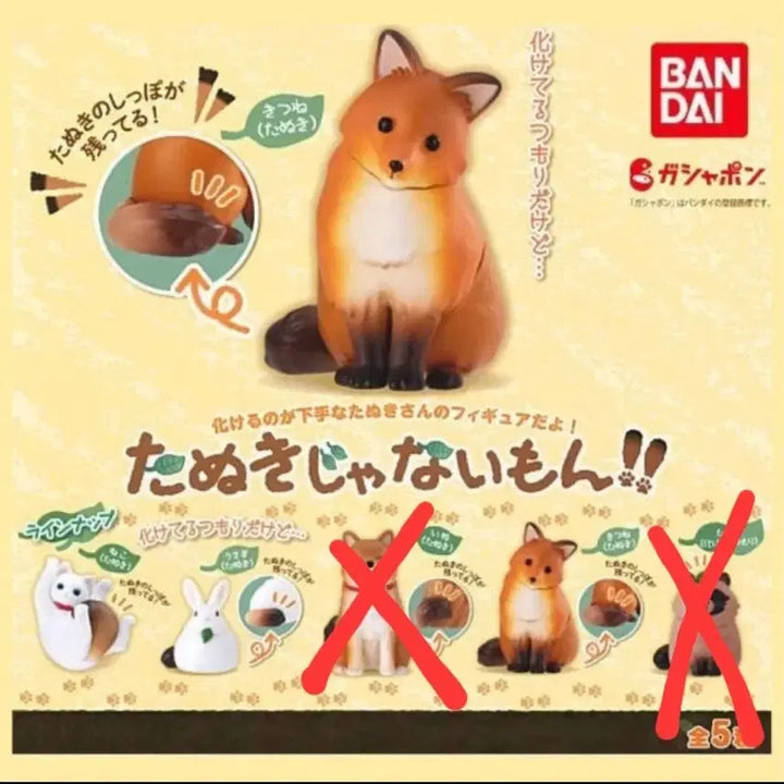 [BUNJANG] Transformation Raccoon Gacha 3 Types Bundle Set / 너구리가 아니란 말이야 변신 너구리 가챠 3종 일괄