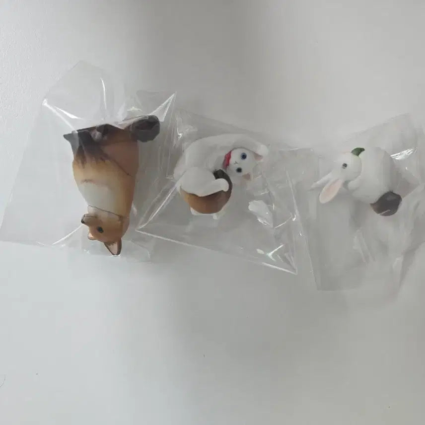 [BUNJANG] Transformation Raccoon Gacha 3 Types Bundle Set / 너구리가 아니란 말이야 변신 너구리 가챠 3종 일괄