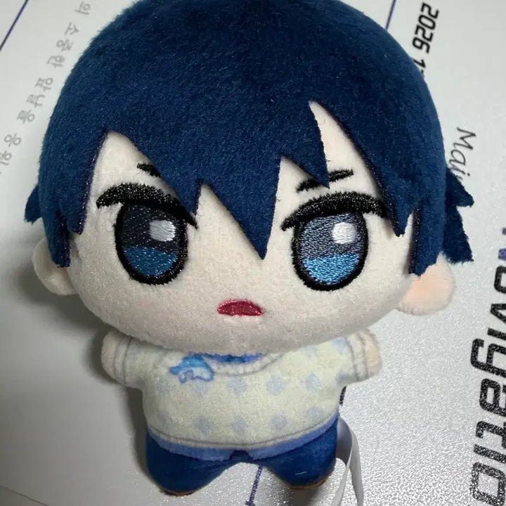 [BUNJANG] Free! Nanase Haruka Chinese Plush Doll / 프리free! 나나세 하루카 중국누이