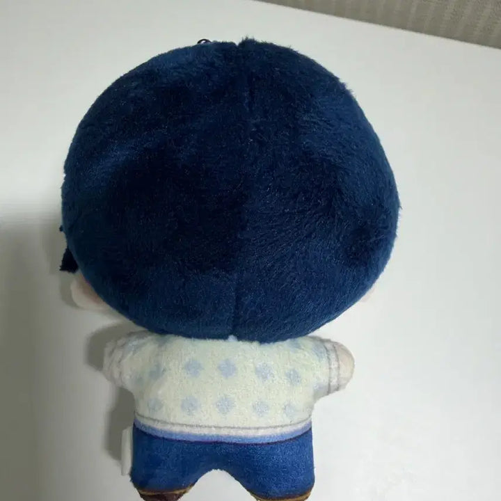 [BUNJANG] Free! Nanase Haruka Chinese Plush Doll / 프리free! 나나세 하루카 중국누이