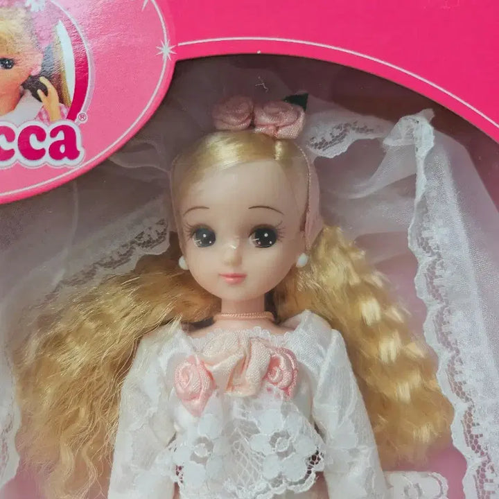 [BUNJANG] Takara Rika-chan Strawberry Point Rika Doll / 다카라 리카인형 딸기포인트 리카