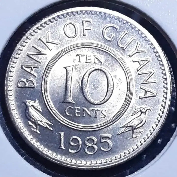 [BUNJANG] 1985 Guyana 10 Cents Coin - Unused, Rare / 희귀 가이아나 미사용 1985년 10센트.외국주화 주화 화폐 동전