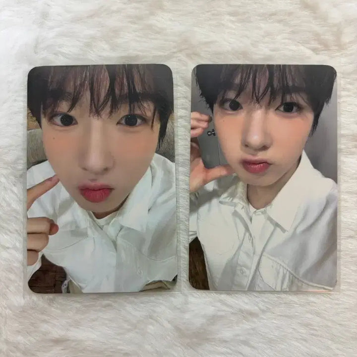 [BUNJANG] NCT WISH Sakuya Songbird Photocard Set (Witchmu, Ktown4u) / nct wish 엔시티 위시 송버드 songbird 사쿠야 위드뮤 케타포