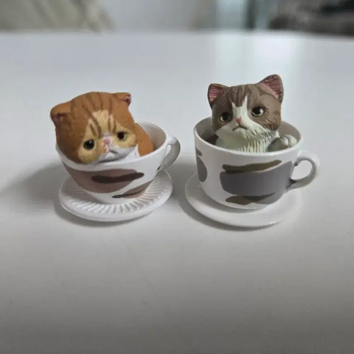 [BUNJANG] Teacup Cat Gacha Figures Set / 티컵 고양이 피규어 가챠 2개 일괄