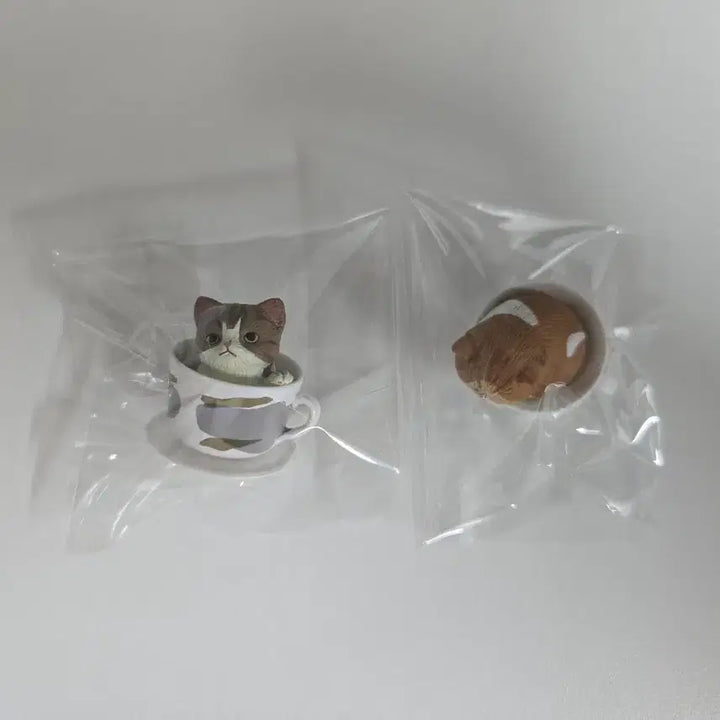 [BUNJANG] Teacup Cat Gacha Figures Set / 티컵 고양이 피규어 가챠 2개 일괄