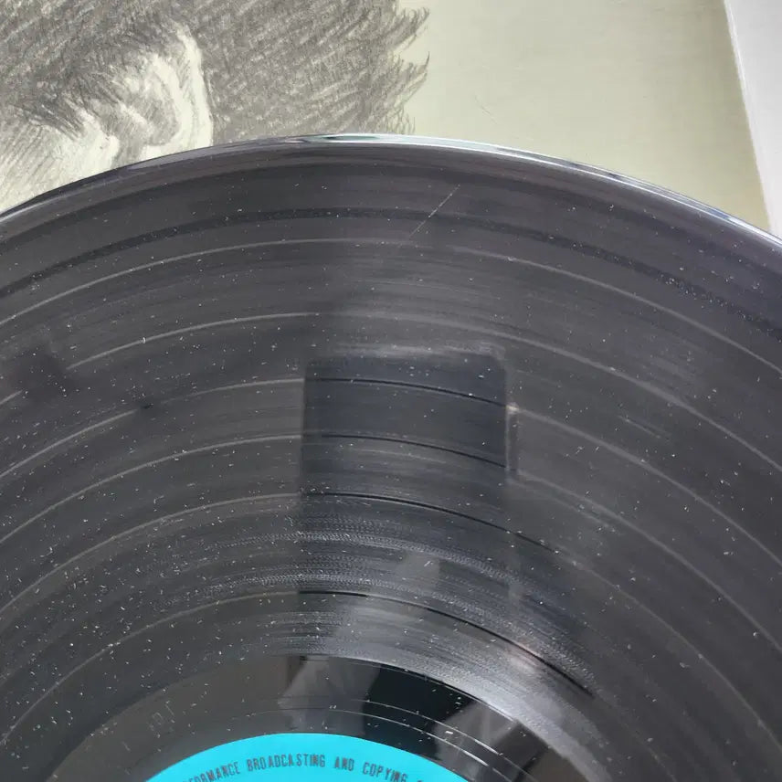 [BUNJANG] Hankyungae Hit Song Collection LP / 한경애 힛송모음 LP / NM