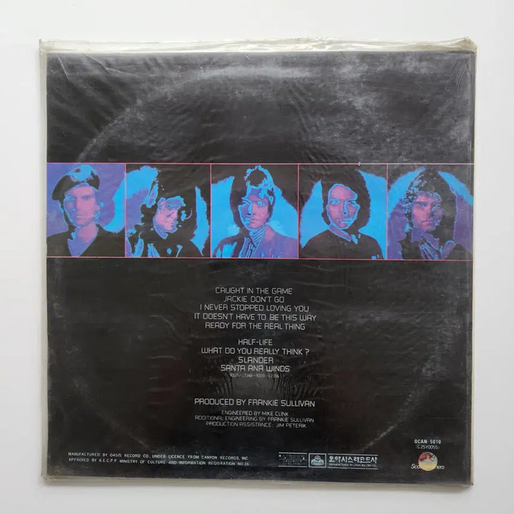 [BUNJANG] SURVIVOR LP (Sealed) / SURVIVOR LP / 미개봉