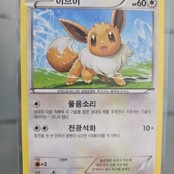 [BUNJANG] Pokemon Card Eevee 042/051 / 포켓몬 카드 이브이 042/051