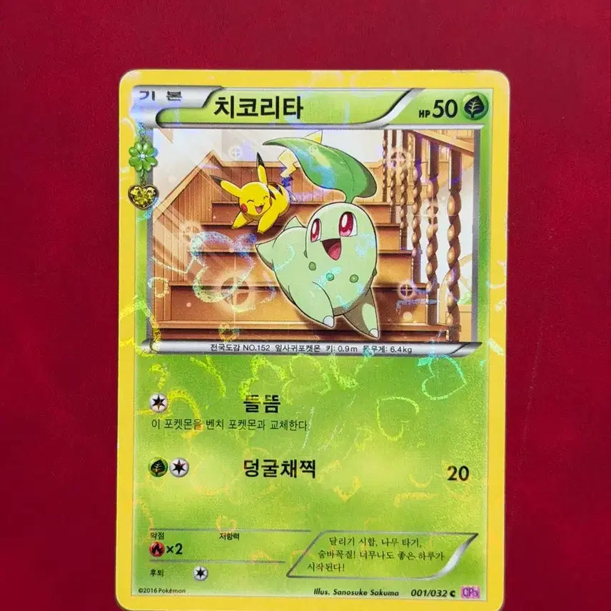 [BUNJANG] Pokemon Card Chikorita (Pikachu) CP3 / 귀여운 포켓몬 카드 심쿵 치코리타(피카츄) CP3