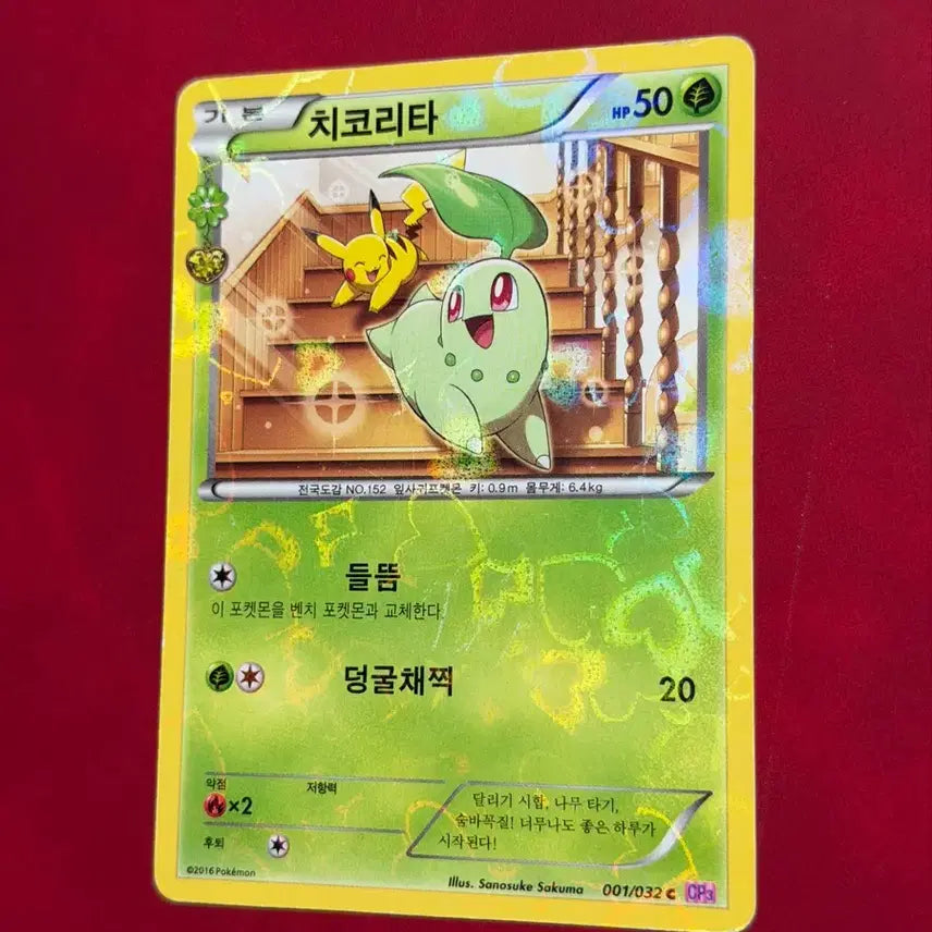 [BUNJANG] Pokemon Card Chikorita (Pikachu) CP3 / 귀여운 포켓몬 카드 심쿵 치코리타(피카츄) CP3