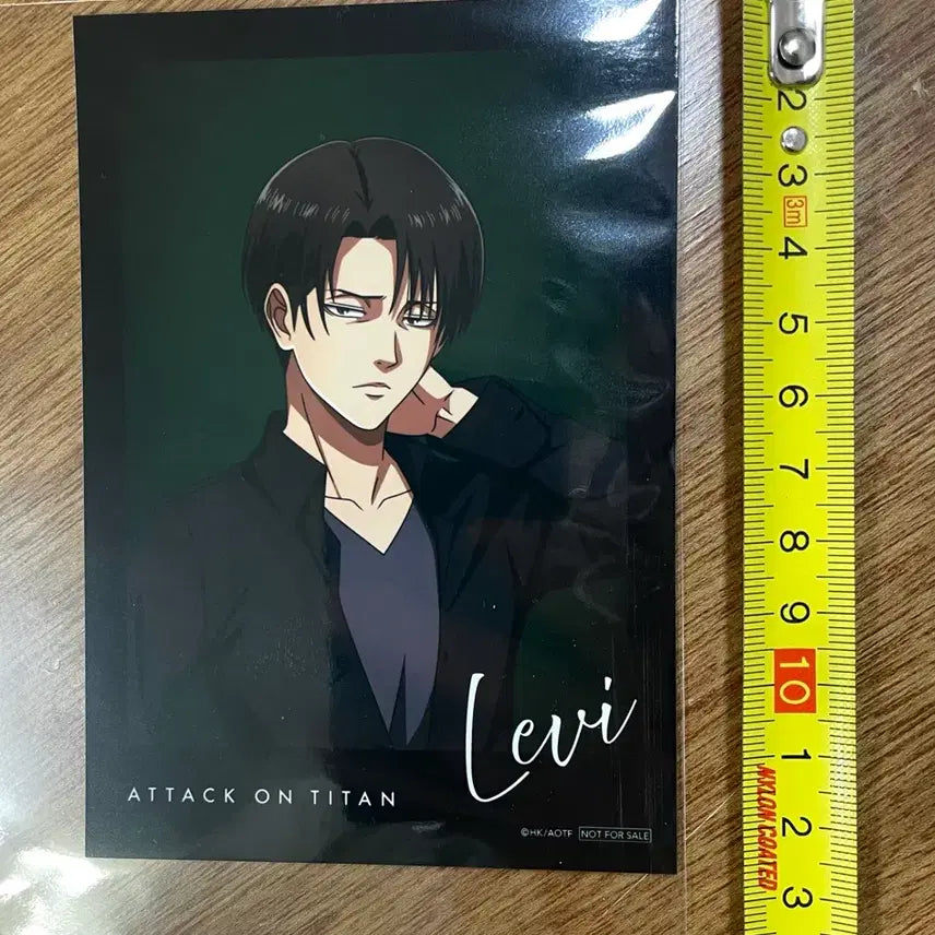 [BUNJANG] Attack on Titan Levi Bromide Black&amp;White / 진격의 거인 리바이 브로마이드 Black&amp;White 진격의거인