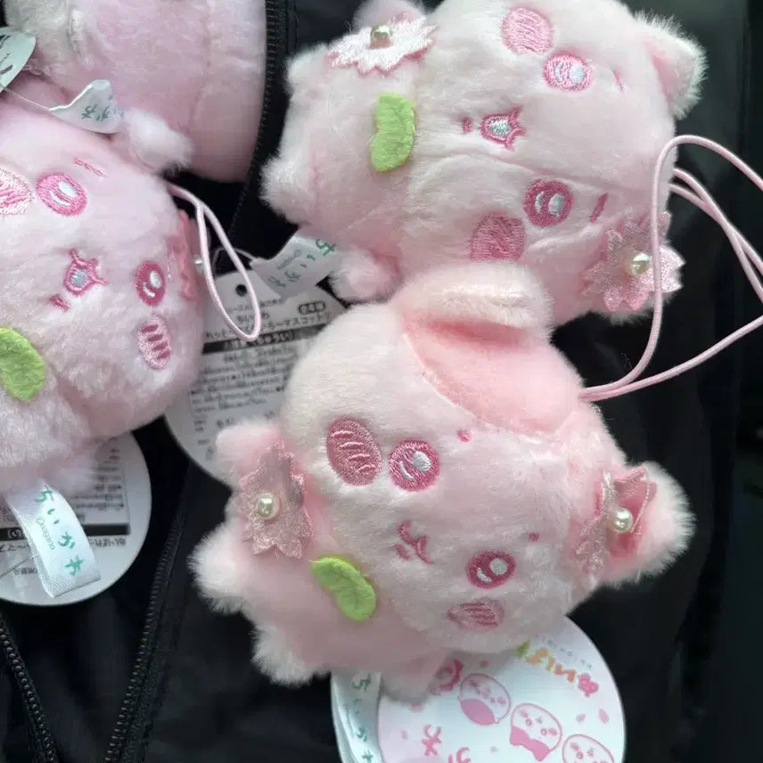 [BUNJANG] Chiikawa Sakura Cherry Blossom Edition Hachiware New Product / 치이카와 사쿠라 벚꽃 에디션 하치와레 새상품